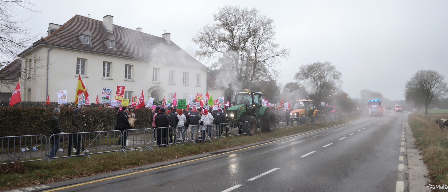 d&eacute;couvrez les enjeux de la dermatose nodulaire contagieuse et la r&eacute;action des &eacute;leveurs face &agrave; la gestion gouvernementale, au c&oelig;ur d'une vive pol&eacute;mique.