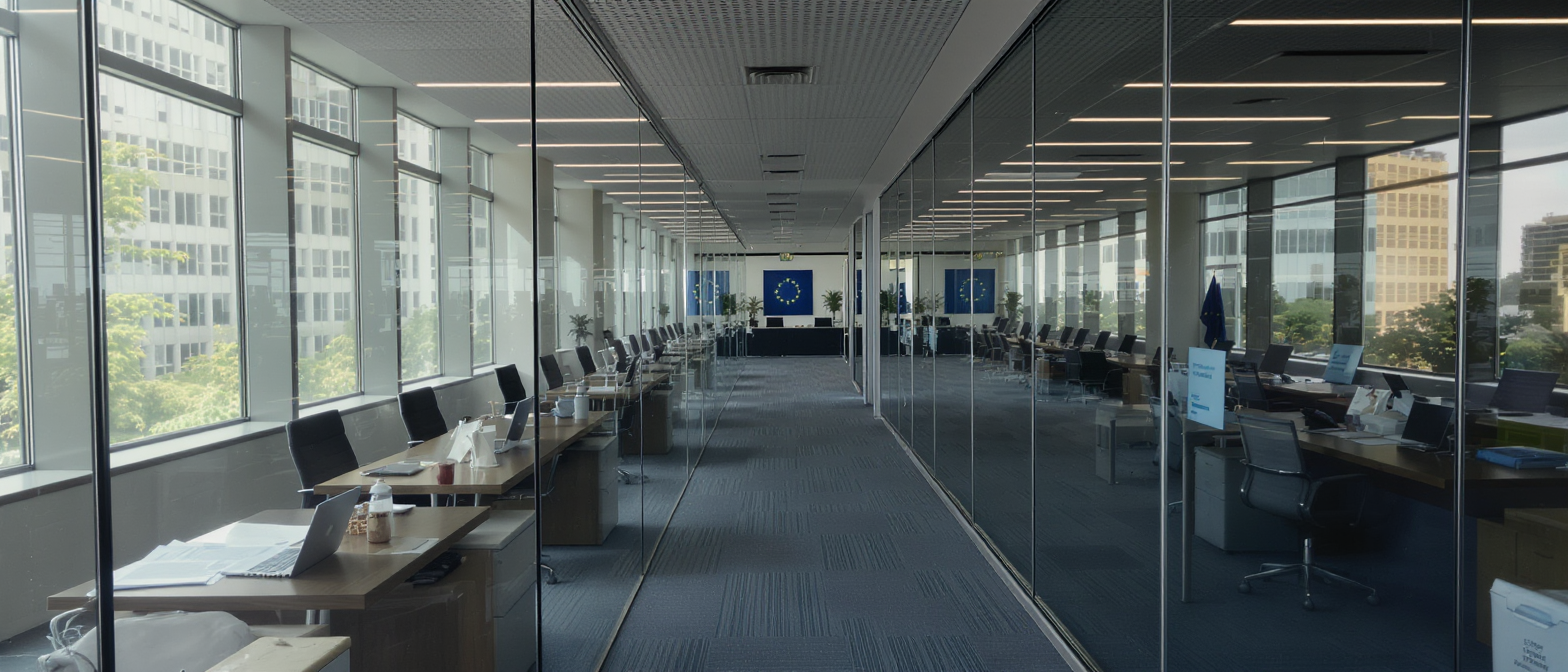 d&eacute;couvrez les efforts de l'europe pour cr&eacute;er un r&eacute;gulateur financier unifi&eacute; visant &agrave; renforcer la supervision et assurer une meilleure stabilit&eacute; du march&eacute; financier europ&eacute;en.